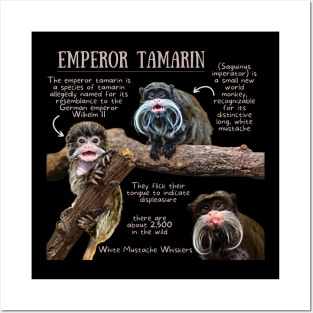 Animal Facts - Emperor Tamarin Posters and Art